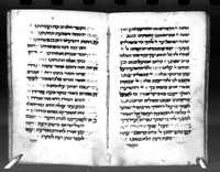 מנחה בלולה.