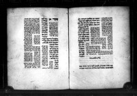 הלכות שחיטה.