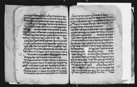 משנה תורה : (ספר קדושה, הלכות איסורי ביאה - שחיטה יד, ח).
