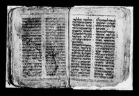 כתובים.