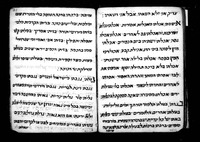 פרוש חד גדיא.