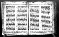 תאג' והפטרות.