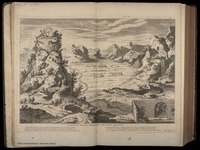 A plan of Mount Tabor and the parts adjacent