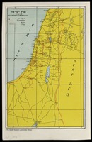 ארץ ישראל