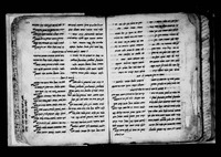 כפיאה מגאהדיה.
