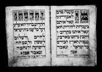 ספר אלמימר.