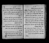 הגיד מרדכי.