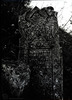 Tombstone. Photograph of: Jewish Cemetery in Kupin