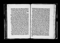השערים (שער הגלגולים).