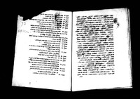 אמרי נואש.