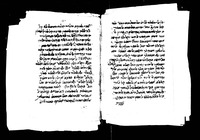 דרשות על התורה (בראשית).