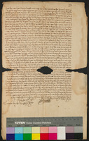פסק בית דין טריבטש.