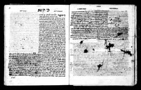 תועפות ראם : על בראשית ושמות.