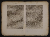 דרך הקדש : פרוש על הספרא.