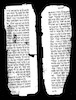 דמת אלנבי מחמד : כתב החסות שנתן מחמד ליהודים, מתוך צוואת מחמד לעלי בן אבי טאלב.
