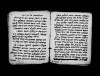 יאיר נתיב.