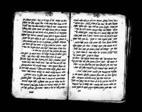 הלכות שחיטות וטרפות.