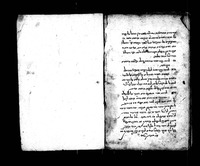 הנהגת הרא"ש.