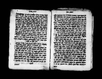 זמרת הארץ.