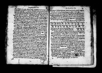 השערים (שער הכוונות).