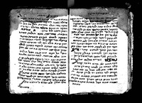 ראשי בשמים.
