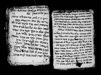 קציד שכאוה אלנסא.
