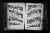 זבחי שלמים.