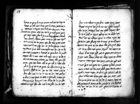 כנפי יונה : ההתחלה בלבד.