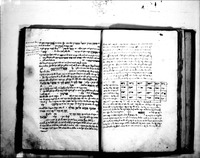 שרשי השמות.