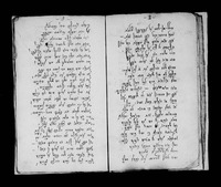 רות המואביה.