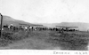 שדה התעופה בצמח 19-03-1924