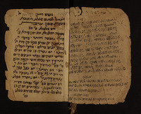 קבץ הלכות שחיטה.