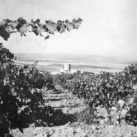 משמר העמק מבט מהכרם – הספרייה הלאומית