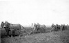 חריש ראשון של אדמת מרחביה בידי קבוצת הכיבוש אשר הורכבה מאנשי השומר ואיכרים מהגליל ומעמק הירדן, 1911 – הספרייה הלאומית