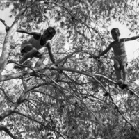 עין חרוד – הספרייה הלאומית