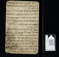 אם אפס רובע הקן.
