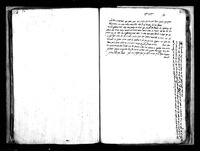 חדושים, דרשות, תשובות ולקוטים על הש"ס ועל התנ"ך.