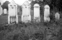 Bushtyna. Jewish cemetery.