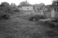 Bushtyna. Jewish cemetery.