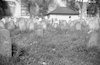 Bushtyna. Jewish cemetery. [picture].