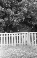 Byten'. Place of Jews execution.