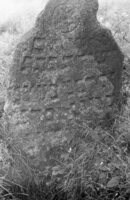 Byten'. Jewish cemetery.