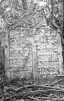 Cherch. Jewish cemetery. Tombstone No. 13.