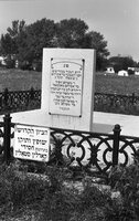 Annopol'. Jewish cemetery.