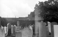 Beregovo. Jewish cemetery.