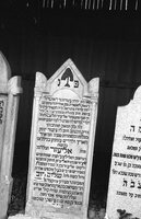 Beregovo. Jewish cemetery.