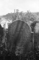 Beregovo. Jewish cemetery.
