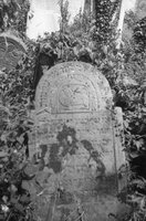 Beregovo. Jewish cemetery.