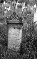 Beregovo. Jewish cemetery.