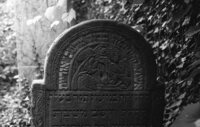 Beregovo. Jewish cemetery.